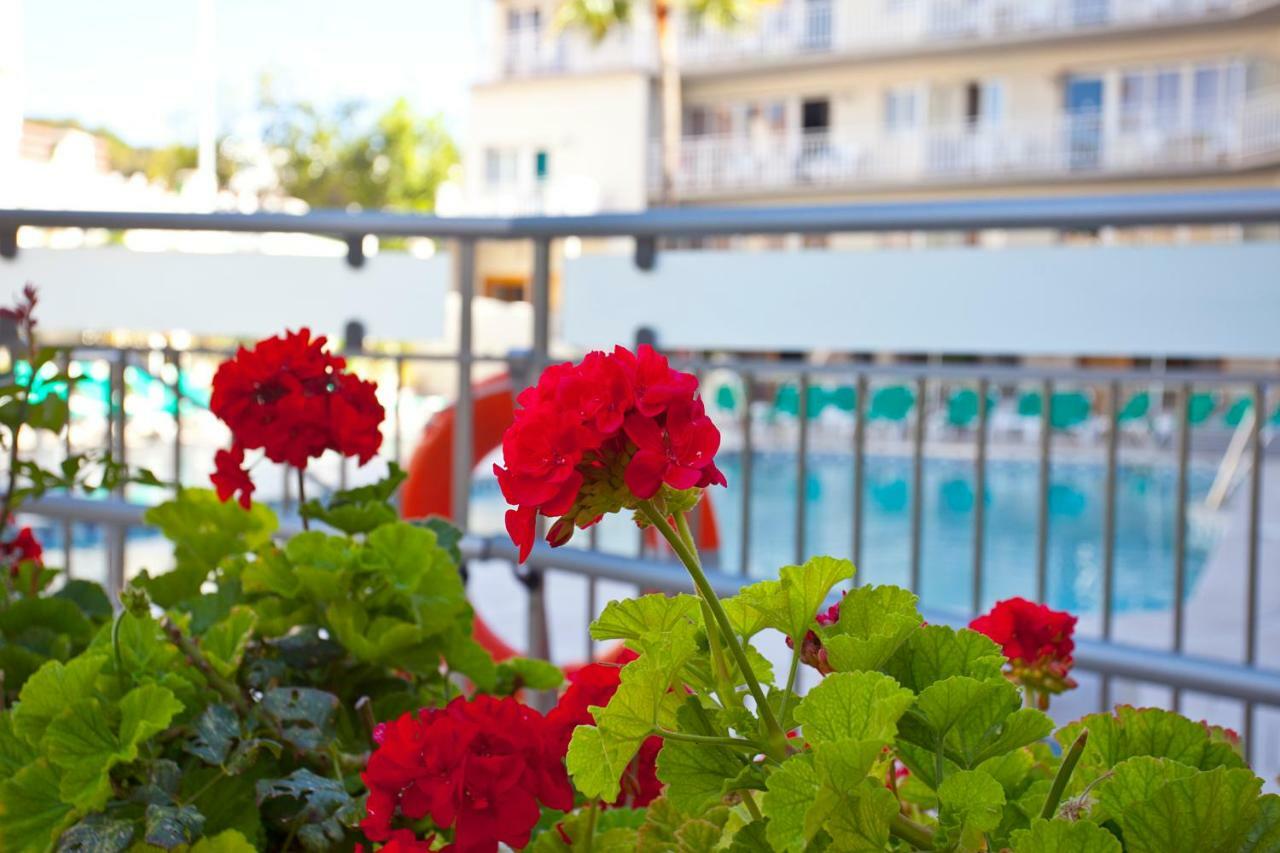 Apartamentos Ecuador Park Torremolinos Extérieur photo